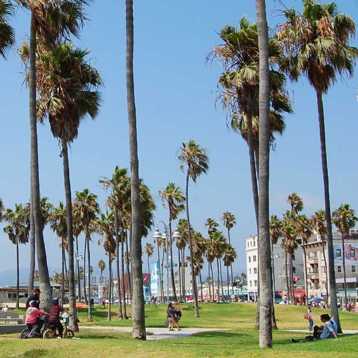 Venice Beach California boulevard boardwalk